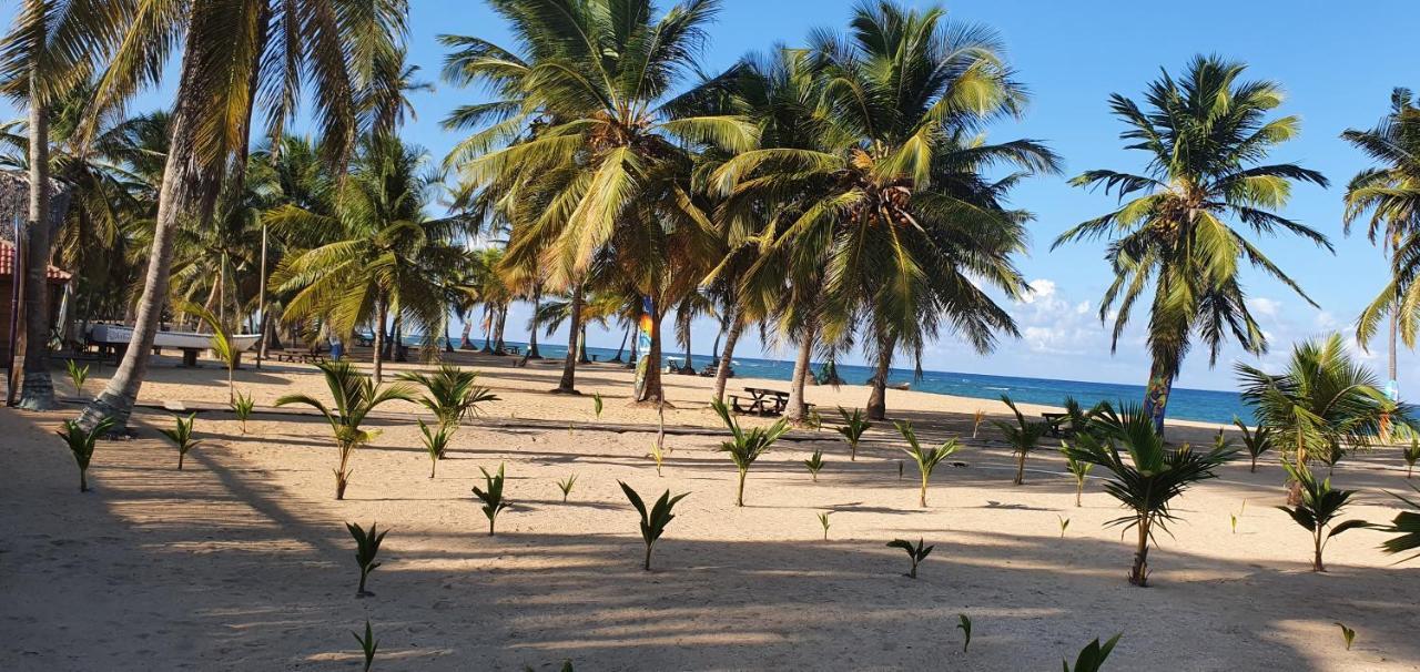 Puntacana Ecolodge Lavacama Beach Costa Arrecife By Aa Crypto Group ปุนตากานา ภายนอก รูปภาพ
