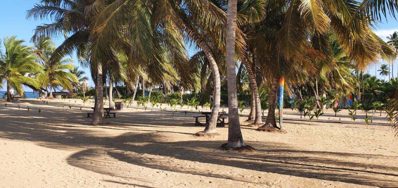 Puntacana Ecolodge Lavacama Beach Costa Arrecife By Aa Crypto Group ปุนตากานา ภายนอก รูปภาพ