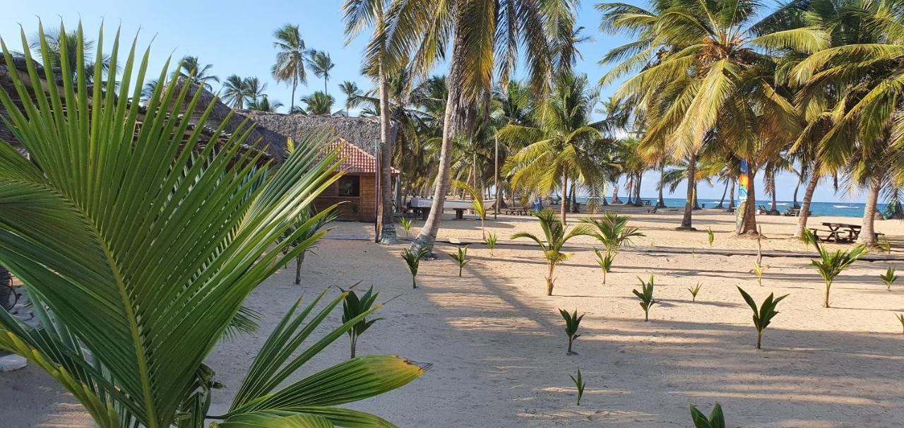 Puntacana Ecolodge Lavacama Beach Costa Arrecife By Aa Crypto Group ปุนตากานา ภายนอก รูปภาพ