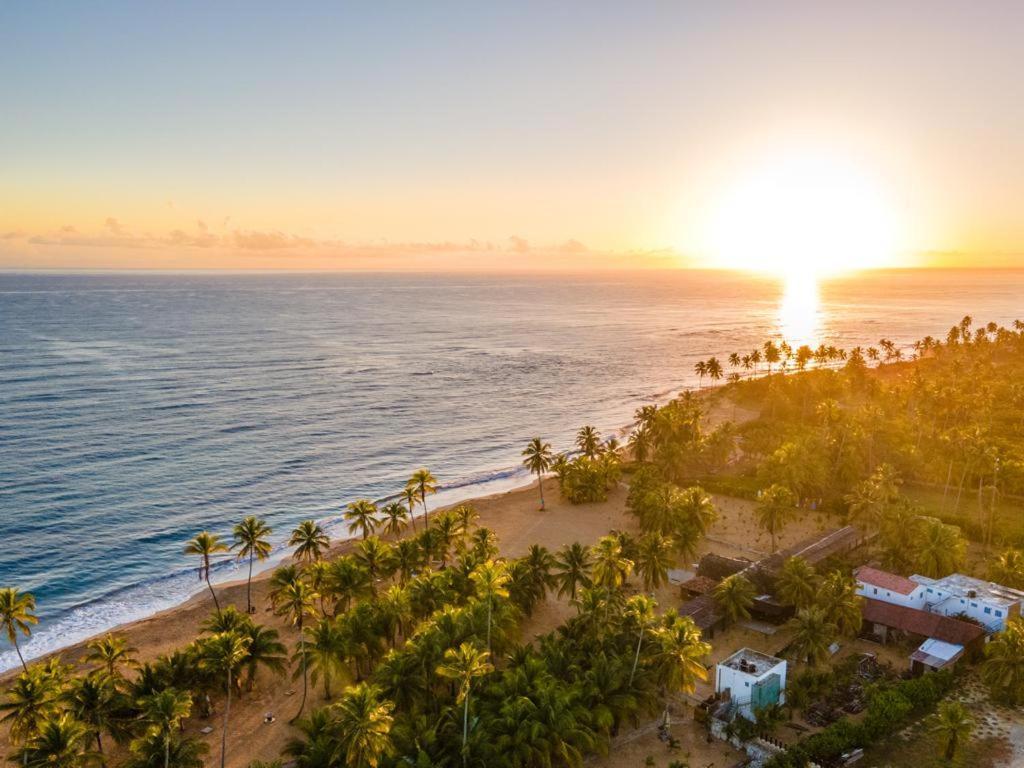 Puntacana Ecolodge Lavacama Beach Costa Arrecife By Aa Crypto Group ปุนตากานา ภายนอก รูปภาพ