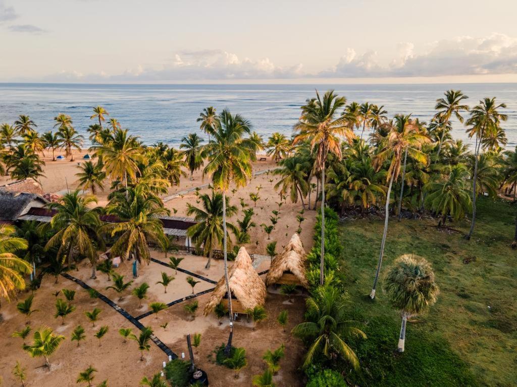 Puntacana Ecolodge Lavacama Beach Costa Arrecife By Aa Crypto Group ปุนตากานา ภายนอก รูปภาพ