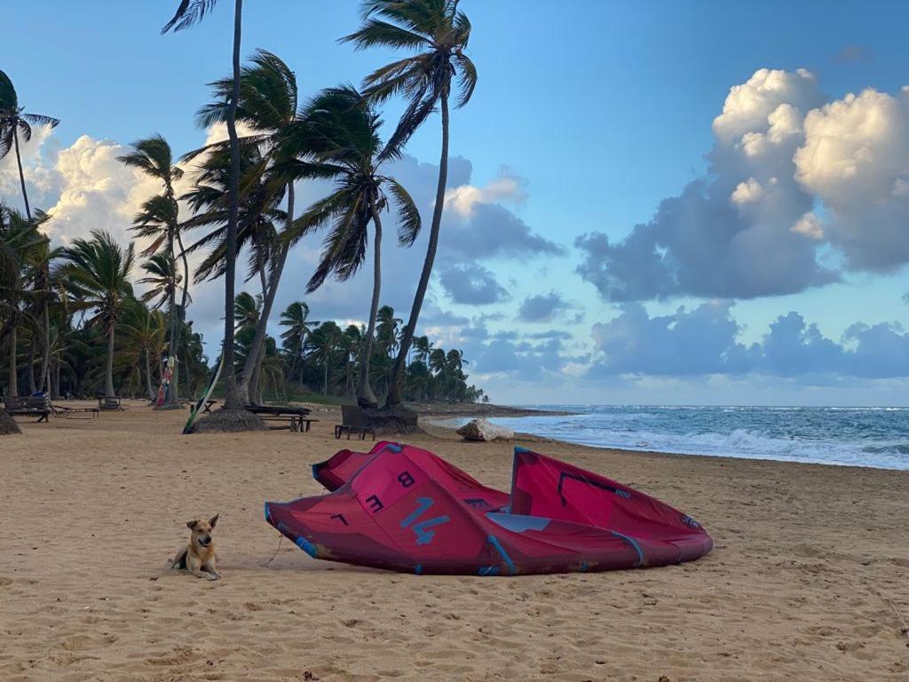 Puntacana Ecolodge Lavacama Beach Costa Arrecife By Aa Crypto Group ปุนตากานา ภายนอก รูปภาพ